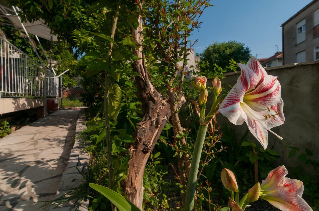 Apartment Vedrana Split Exterior photo
